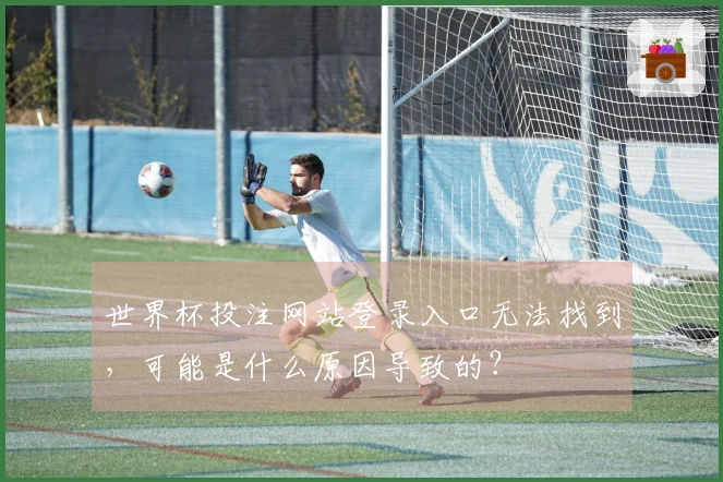 世界杯投注网站登录入口无法找到，可能是什么原因导致的？