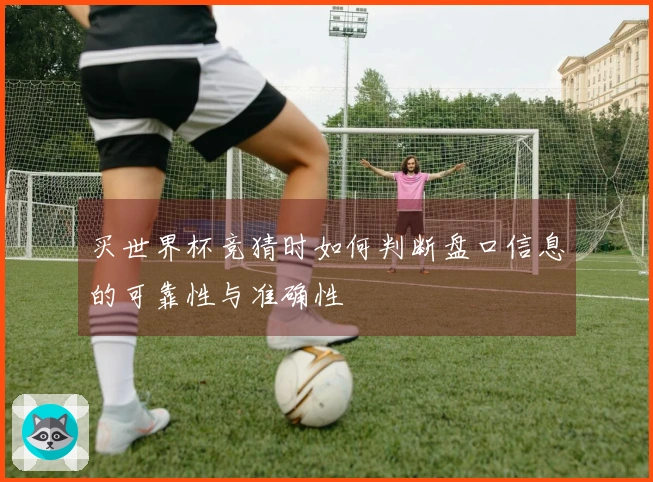 买世界杯竞猜时如何判断盘口信息的可靠性与准确性