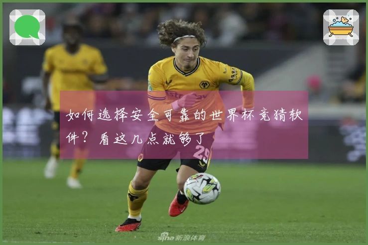 如何选择安全可靠的世界杯竞猜软件？看这几点就够了