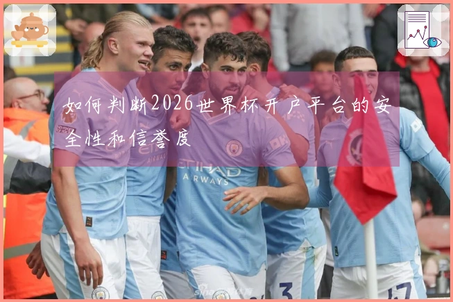 如何判断2026世界杯开户平台的安全性和信誉度