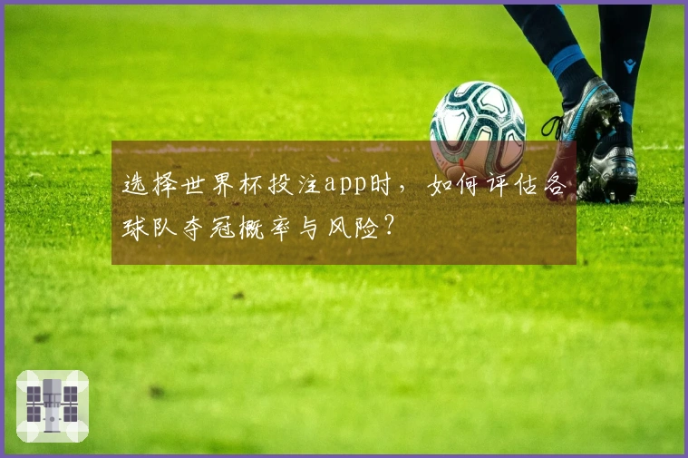 选择世界杯投注app时，如何评估各球队夺冠概率与风险？