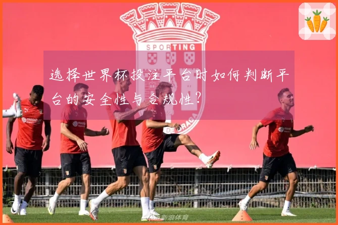 选择世界杯投注平台时如何判断平台的安全性与合规性？