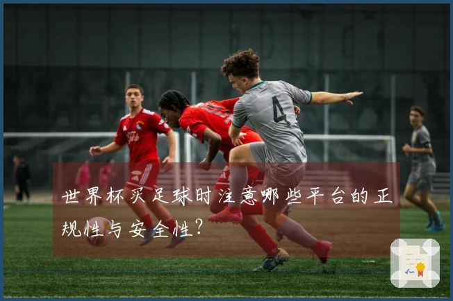 世界杯买足球时注意哪些平台的正规性与安全性？