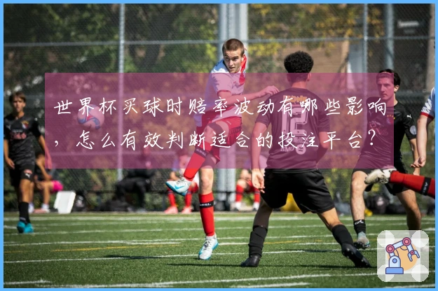 世界杯买球时赔率波动有哪些影响，怎么有效判断适合的投注平台？