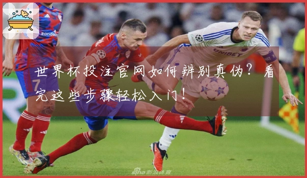 世界杯投注官网如何辨别真伪？看完这些步骤轻松入门！