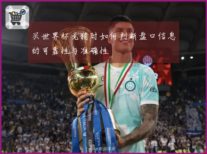买世界杯竞猜时如何判断盘口信息的可靠性与准确性