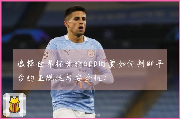 选择世界杯竞猜app时要如何判断平台的正规性与安全性？