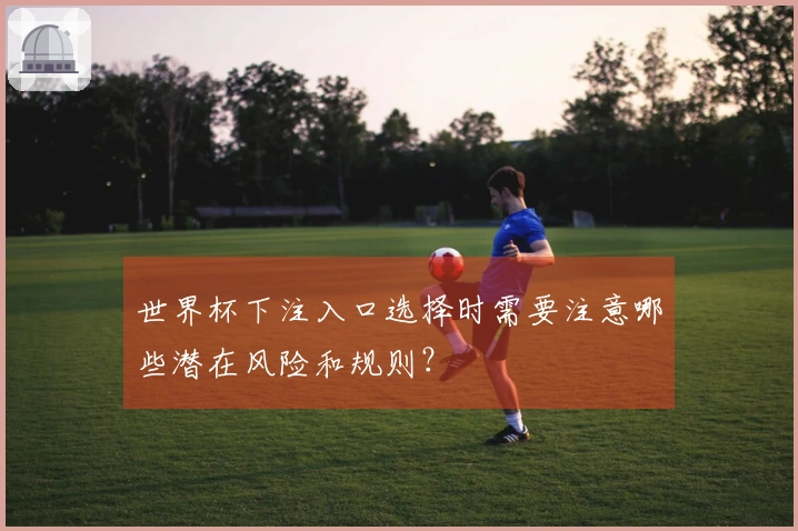 世界杯下注入口选择时需要注意哪些潜在风险和规则？