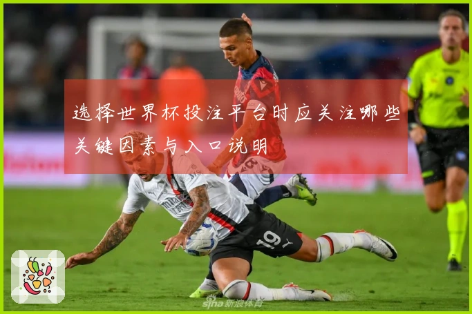 选择世界杯投注平台时应关注哪些关键因素与入口说明