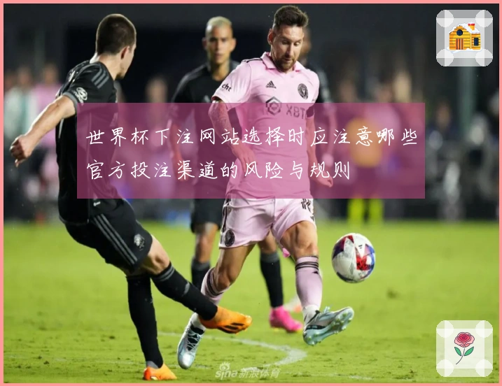 世界杯下注网站选择时应注意哪些官方投注渠道的风险与规则