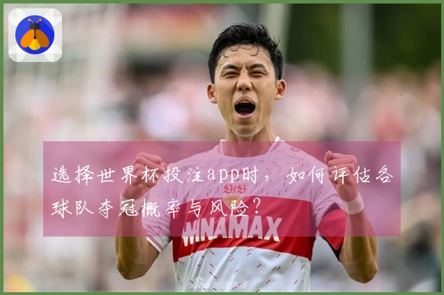 选择世界杯投注app时，如何评估各球队夺冠概率与风险？