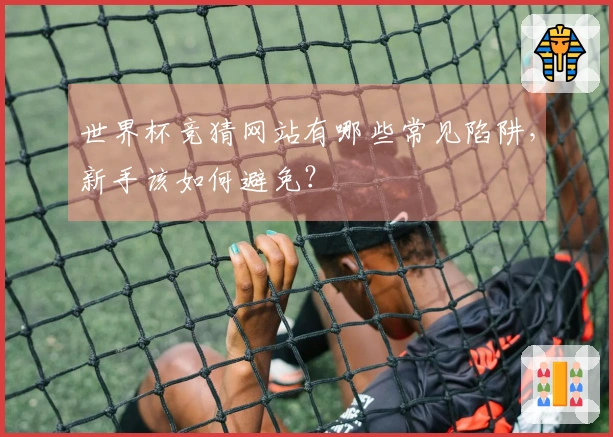 世界杯竞猜网站有哪些常见陷阱，新手该如何避免？