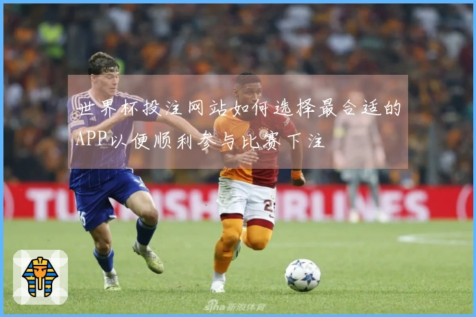 世界杯投注网站如何选择最合适的APP以便顺利参与比赛下注