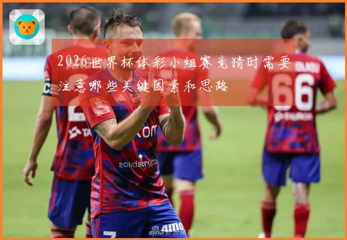 2026世界杯体彩小组赛竞猜时需要注意哪些关键因素和思路