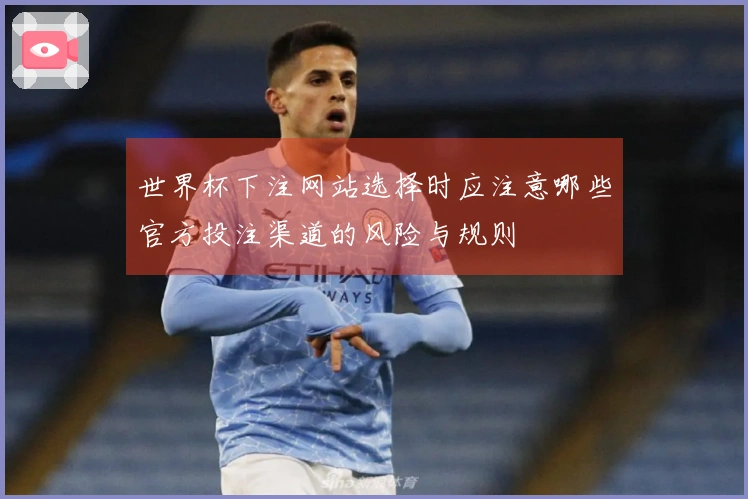 世界杯下注网站选择时应注意哪些官方投注渠道的风险与规则