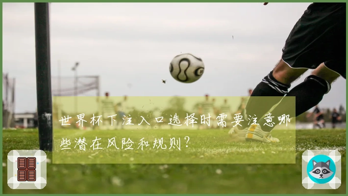 世界杯下注入口选择时需要注意哪些潜在风险和规则？