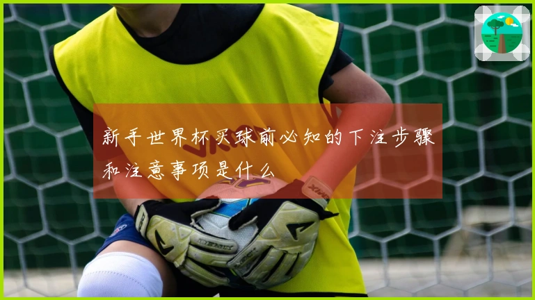 新手世界杯买球前必知的下注步骤和注意事项是什么