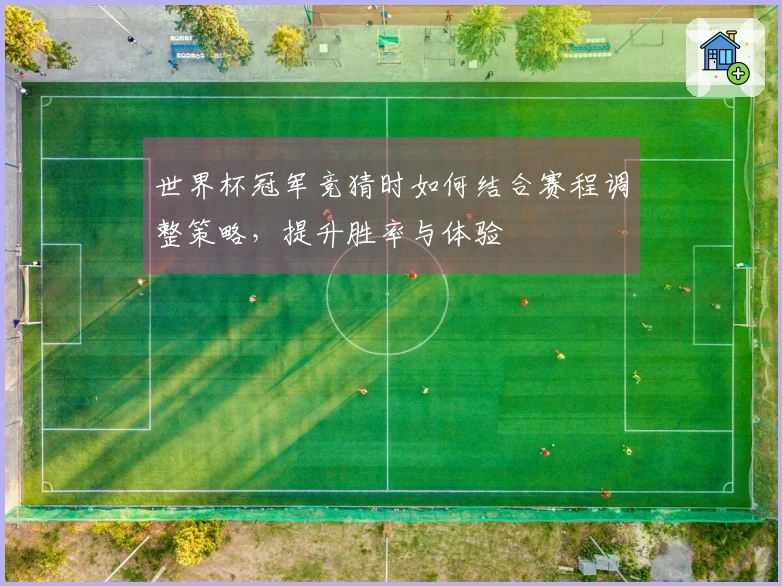 世界杯冠军竞猜时如何结合赛程调整策略，提升胜率与体验