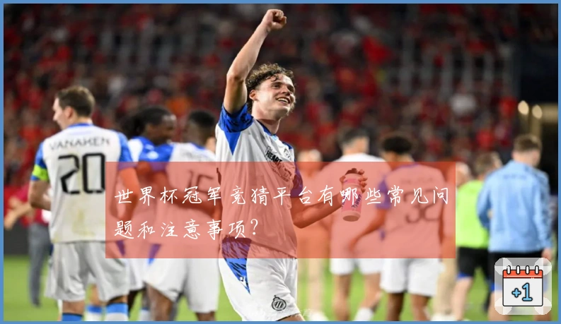 世界杯冠军竞猜平台有哪些常见问题和注意事项？