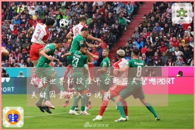 选择世界杯投注平台时应关注哪些关键因素与入口说明