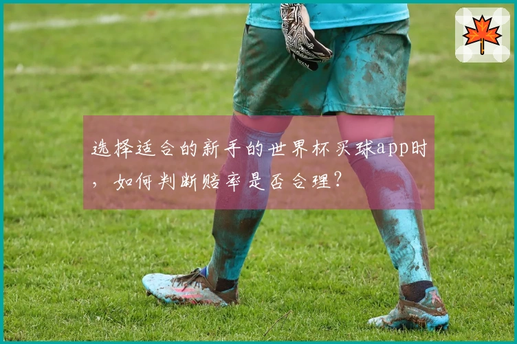选择适合的新手的世界杯买球app时，如何判断赔率是否合理？